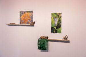 La muestra ‘La naturaleza de las cosas’ de Cris Bartual y Miquel Ponce puede visitarse en l’Espai hasta el 18 de junio - (foto 2)