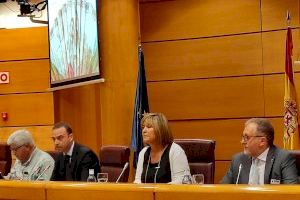 José Martí reivindica al Senat una discriminació positiva fiscal i administrativa per als xicotets pobles d'interior José Martí reivindica al Senat una discriminació positiva fiscal i administrativa per als xicotets pobles d'interior