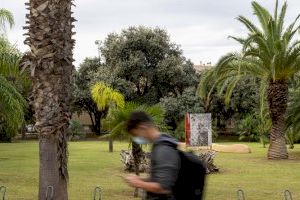 El jurat de la XXV Mostra art públic / universitat pública dona a conéixer els dotze projectes seleccionats - (foto 2)