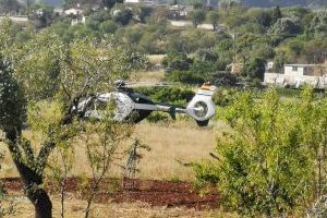 Varios vehículos y hasta un helicóptero: Agricultores de Alicante denuncian el dispositivo de las inspecciones de trabajo en el campo