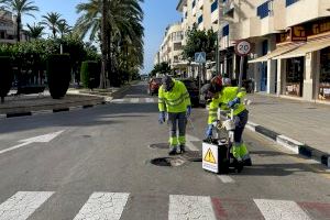 Actuaciones de control de plagas durante el mes de junio en Teulada Moraira