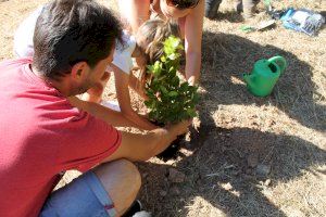 Alberic apuesta por el mantenimiento de La Muntanyeta con la plantación de 200 árboles y arbustos - (foto 3)