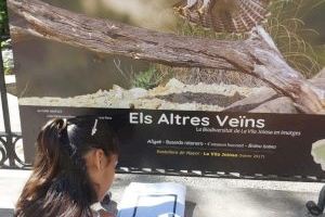 La Vila Joiosa distribuye material didáctico relacionado con la exposición “Els altres veïns” entre los centros educativos de Primaria - (foto 2) La Vila Joiosa distribuye material didáctico relacionado con la exposición “Els altres veïns” entre los centros educativos de Primaria - (foto 2)