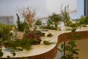Vilamuseu se inunda de aromas con la exposición ‘Especias, el universo del sabor’