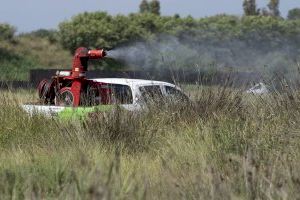 Castellón hace frente a los mosquitos: estos son los municipios en los que se aplicará el tratamiento contra su aparición