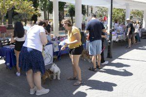 El Encuentro Animalista de Paiporta reúne a cientos de personas en la plaza Mayor - (foto 2) El Encuentro Animalista de Paiporta reúne a cientos de personas en la plaza Mayor - (foto 2)