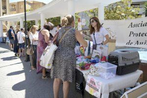 El Encuentro Animalista de Paiporta reúne a cientos de personas en la plaza Mayor - (foto 3) El Encuentro Animalista de Paiporta reúne a cientos de personas en la plaza Mayor - (foto 3)