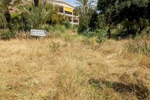 Compromís exige un plan de choque para el barrio de Santa Pola del Este