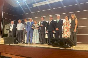 Vicar, Akcoat i Hinojosa Embalatge Solutions aconsegueixen l'Alfa d'Or a la innovació Vicar, Akcoat i Hinojosa Embalatge Solutions aconsegueixen l'Alfa d'Or a la innovació
