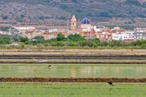 La Escuela de Verano de Xilxes dará comienzo con el total de las plazas cubiertas