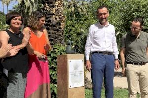 El Parque Municipal cuenta con una nueva escultura en recuerdo de los bebés que nos dejaron demasiado pronto - (foto 3)