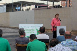 Burriana amplia la batalla biològica contra el cotonet amb un insectari en el municipi - (foto 3) Burriana amplia la batalla biològica contra el cotonet amb un insectari en el municipi - (foto 3)