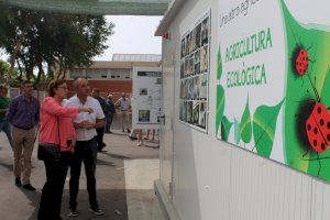 Burriana amplia la batalla biològica contra el cotonet amb un insectari en el municipi - (foto 4) Burriana amplia la batalla biològica contra el cotonet amb un insectari en el municipi - (foto 4)