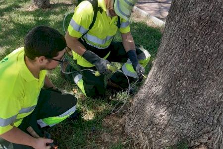 L’Ajuntament d’Algemesí prioritza el tractament biològic per al control de plagues en jardineria