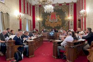 El Pleno exige a la Conselleria de Educación la retirada urgente del amianto en tres colegios de Alicante El Pleno exige a la Conselleria de Educación la retirada urgente del amianto en tres colegios de Alicante