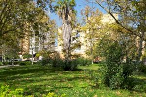 L’Ajuntament de València licita la creació d’una zona de socialització canina al carrer d’Albocàsser, a Benimaclet