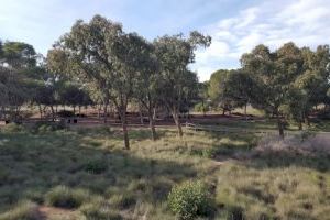 Transición Ecológica actualiza el Plan de Prevención de Incendios del parque natural de las Lagunas de la Mata y Torrevieja