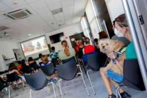 L’Alfàs continuará el próximo curso escolar con el programa pionero de terapia con perros ‘Eduka-dogs’