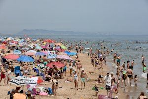 Gandia es consolida com el destí amb més ocupació hotelera de la Comunitat Valenciana segons les últimes dades d’Hosbec - (foto 2) Gandia es consolida com el destí amb més ocupació hotelera de la Comunitat Valenciana segons les últimes dades d’Hosbec - (foto 2)
