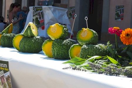 La Vila Joiosa celebra la 5ª edición del concurso de ‘Hortalizas Vileras’