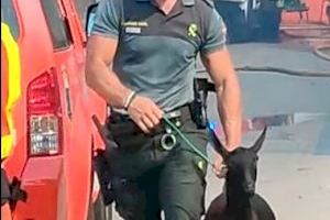 La Guardia Civil colabora en la extinción de un incendio en Oliva - (foto 2)