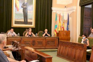 El pleno del Consejo Social aprueba el informe que traza las líneas estratégicas del presupuesto - (foto 2)