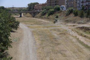Paiporta porta a terme la neteja anual del barranc