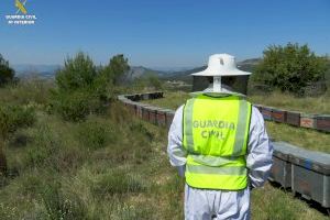 Padre e hijo simulan el robo de 1.200 colmenas en Xàtiva para cobrar del seguro 96.000 euros