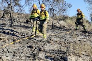 Suport sindical al pla de reorganització de les brigades del Consorci de Bombers de València - (foto 2)