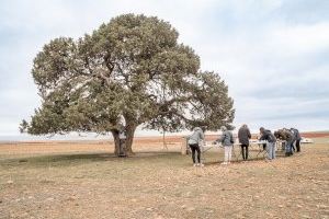 El projecte 'CoSSos' de Darío Escriche ajuda al Consorci de Museus a abordar la biodiversitat i la sostenibilitat - (foto 2) El projecte 'CoSSos' de Darío Escriche ajuda al Consorci de Museus a abordar la biodiversitat i la sostenibilitat - (foto 2)