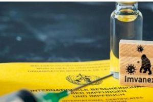 Europa autoritza comercialitzar la vacuna contra la pigota del mico