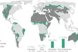 Un nou estudi evidencia que el clima del passat determina la distribució actual dels boscos de zones àrides - (foto 2)