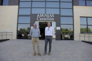 Afanias Castelló retorna a la societat el triple del que rep - (foto 2)