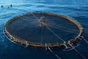 Cinc projectes de la Universitat de València contribuiran a pal·liar els efectes del canvi climàtic sobre el sistema marí i litoral