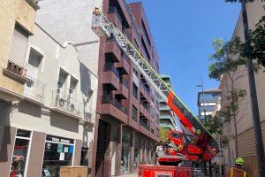 Bombers i Policia Local col·laboren en el rescat d'un gat a Gandia