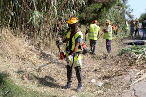 67 personas procedentes del paro trabajan en mejorar los caminos rurales este verano