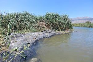 Medi Ambient realitza labors de neteja i desbrossament en el riu Algar - (foto 2)