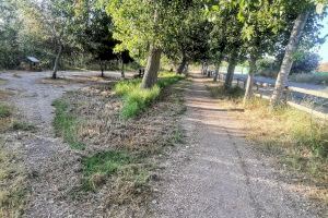 Medi Ambient realitza labors de neteja i desbrossament en el riu Algar - (foto 3)