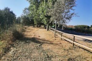 Medi Ambient realitza labors de neteja i desbrossament en el riu Algar - (foto 4)