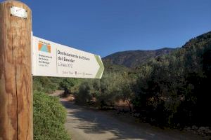El cadàver trobat a Alfondeguilla estava deteriorat per l'acció dels animals salvatges
