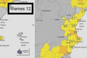 El estrés hídrico que padece el viñedo de Requena-Utiel podría agravarse con la ola de calor del próximo fin de semana