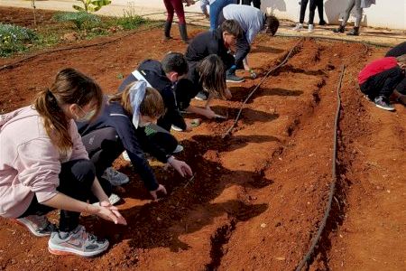 Almassora forma a casi 1.900 estudiantes en agricultura ecológica Almassora forma a casi 1.900 estudiantes en agricultura ecológica