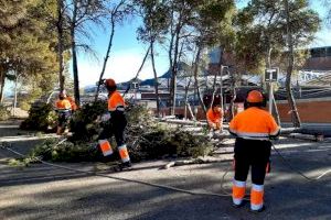 L'Ajuntament d'Alcoi contractarà 19 persones majors de 30 anys a través d’Avalem Experiència Plus – Programa «EXPLUS 2022»