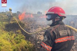 Ecologistes en Acció aposta per reforestar amb espècies autòctones i recuperar cultius com a tallafocs
