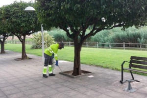 Catarroja intensifica durante los meses de verano la protección y concienciación contra el mosquito tigre