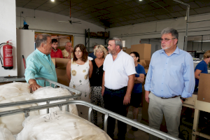 La comarca del Baix Vinalopó ha rebut quasi 119 milions d'euros de suport públic entre 2015 i 2021 - (foto 3) La comarca del Baix Vinalopó ha rebut quasi 119 milions d'euros de suport públic entre 2015 i 2021 - (foto 3)