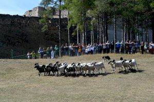 El sector primari, protagonista de la 764a Fira de Morella