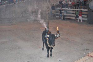 La Conselleria deja sin toros a Zorita por enviar la documentación cinco días tarde