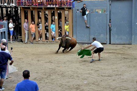 Los ‘bous al carrer’ de Vila-real viven una cogida en su última jornada
