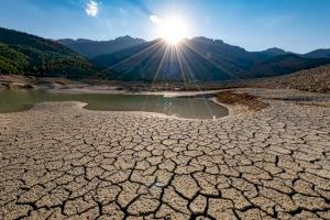 La UA reúne en Sax a expertos en desertificación y plantea iniciativas para evitarla o corregirla